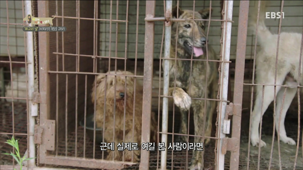 어떻게 그럴 수가 있을까요? 어떻게 사람을 그렇게 좋아할 수 있죠? | 인스티즈