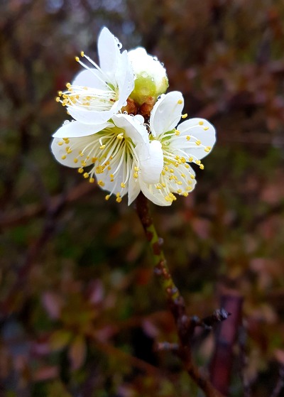 99B6A8475C974BAE2C2C13