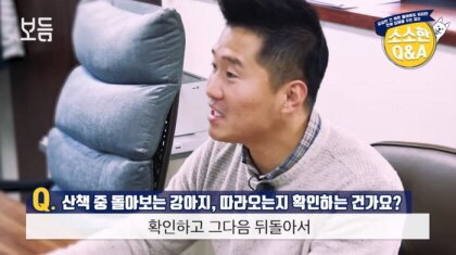 강아지가 산책 중 뒤 돌아보는 이유 | 인스티즈
