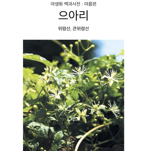 식물 이름이 심상치않다 | 인스티즈