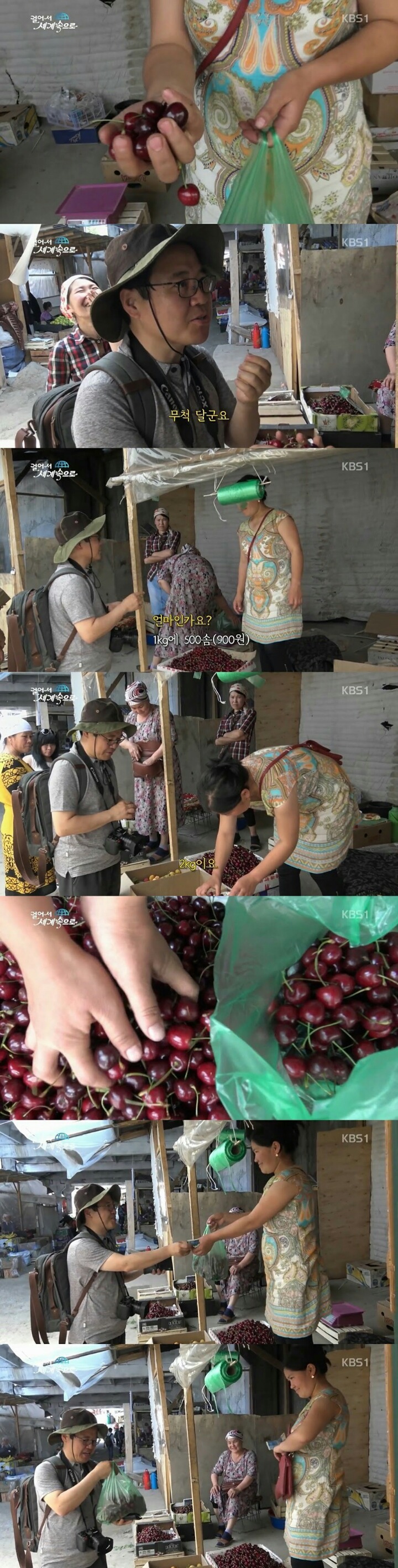 외국에서 체리 가격.jpg | 인스티즈
