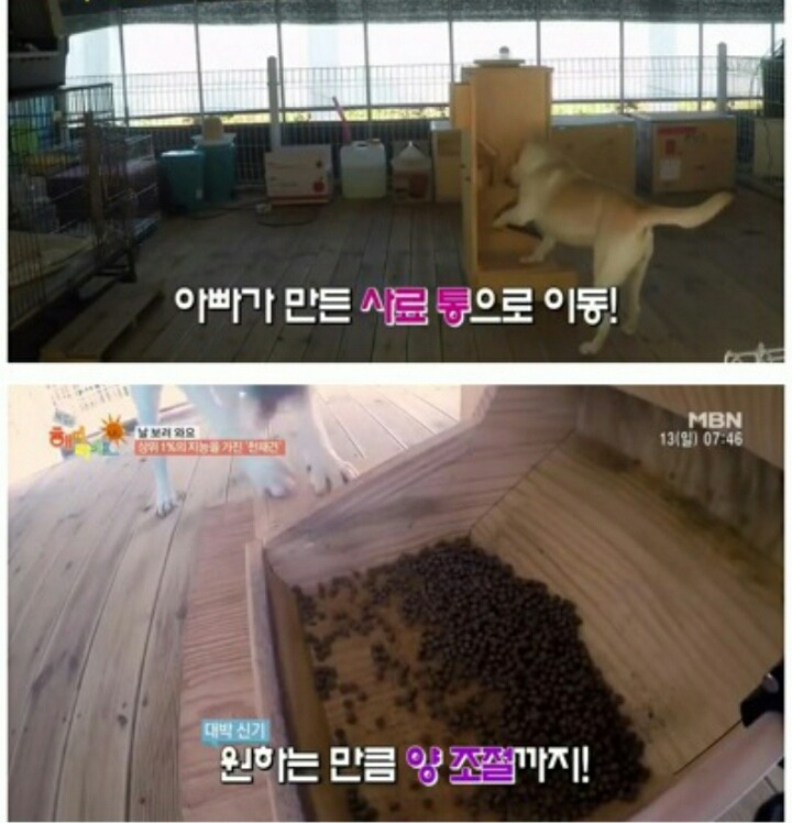 호야농장 이미지