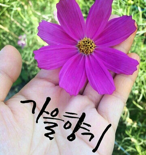 (주)하늘가득 이미지