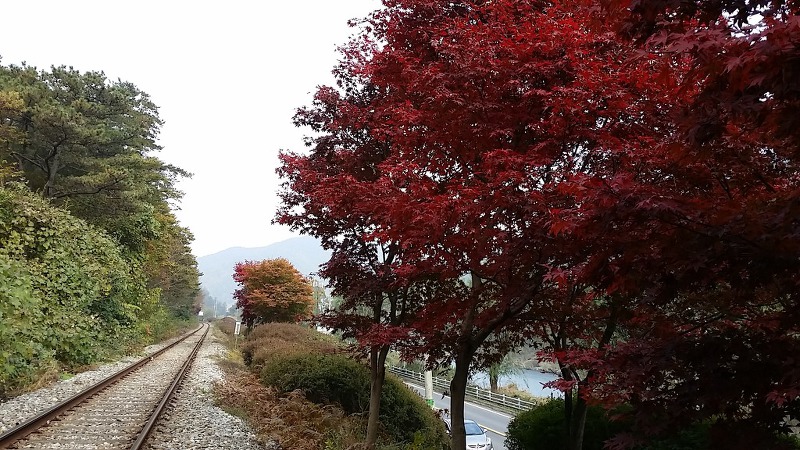 이육회 이미지
