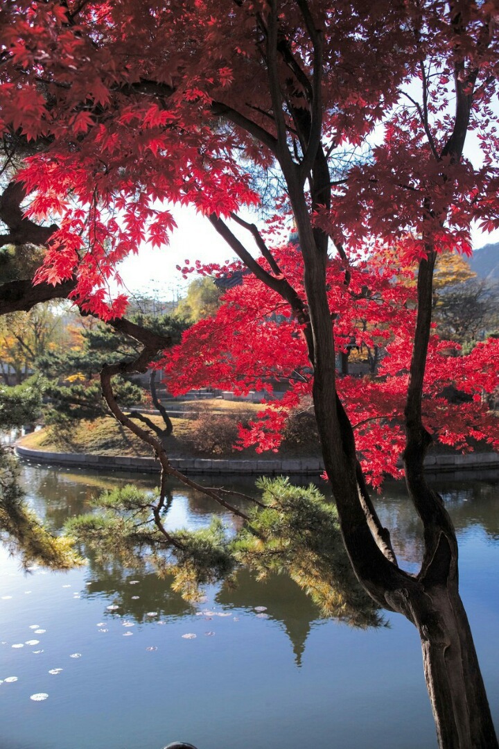 정라 이미지