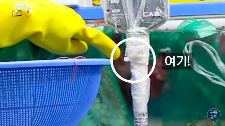 수산물 시장가서 유심히 봐야할 저울 사기치는 방법 | 인스티즈