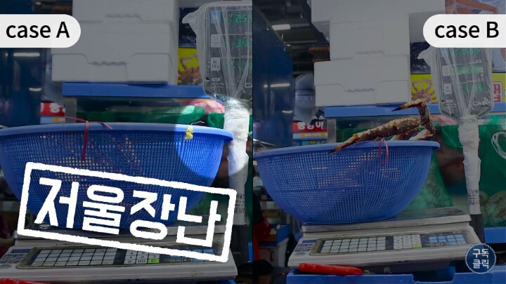 수산물 시장가서 유심히 봐야할 저울 사기치는 방법 | 인스티즈