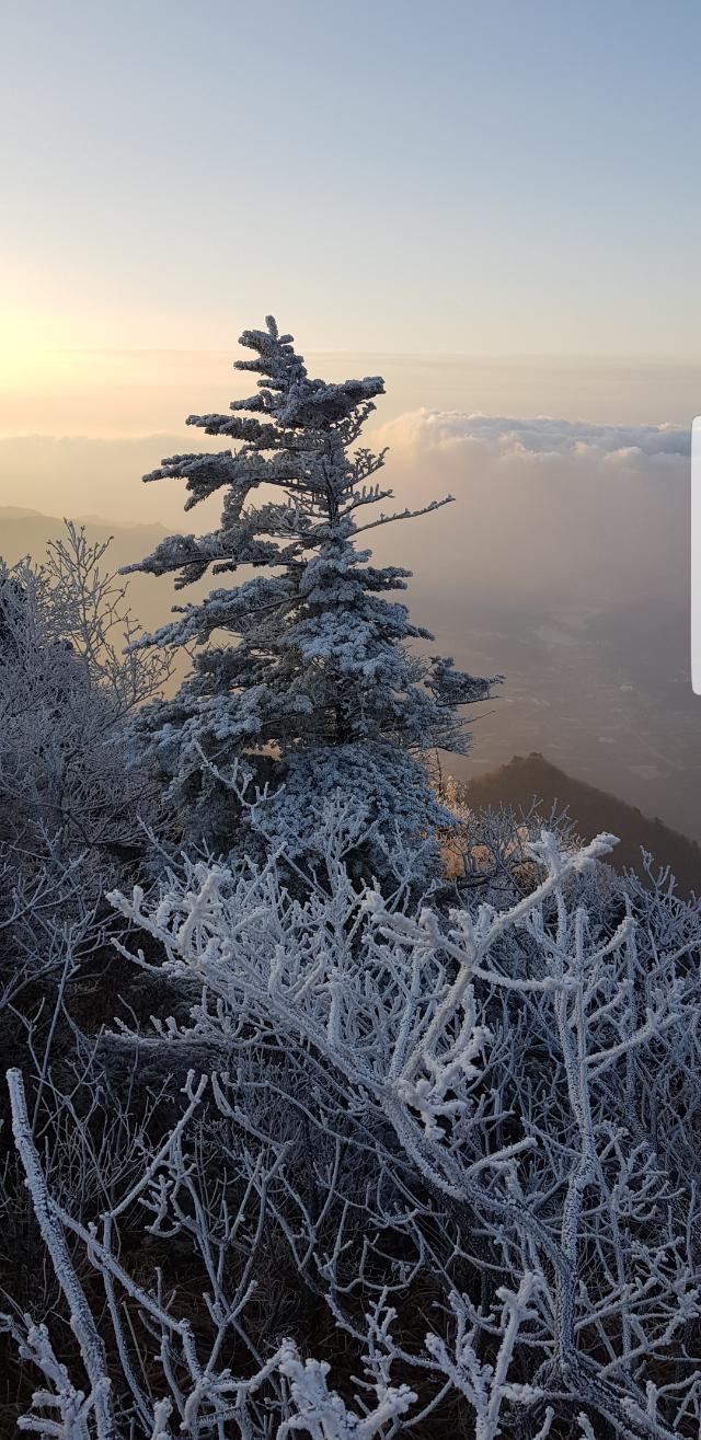 새녘 이미지