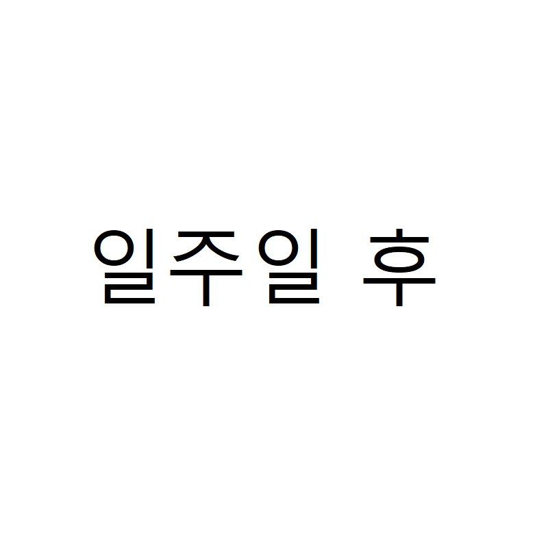 가상화폐 투자했다가 강제 존버하는 너구리 | 인스티즈