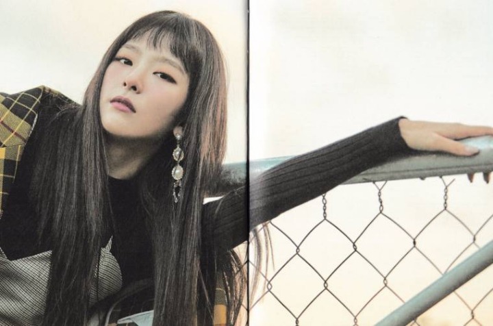 레드벨벳 시즌 그리팅 이미지(30장) | 인스티즈