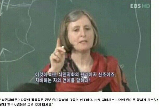 [일본어근절운동] 고양이는 왜 항상 "닝겐"에게만 말을 할까? | 인스티즈