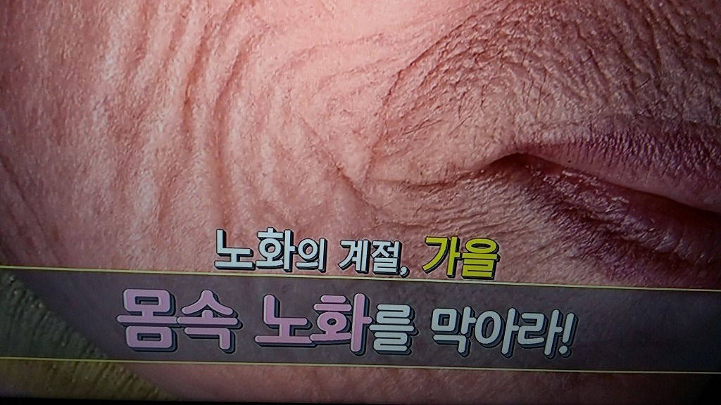 천기누설식품 이미지