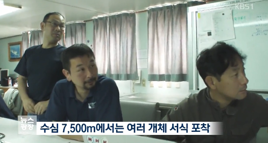 일본의 심해어 촬영 세계 신기록 | 인스티즈