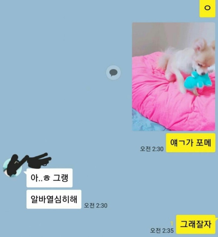 한편 오늘자 디씨 카톡 대참사.. | 인스티즈