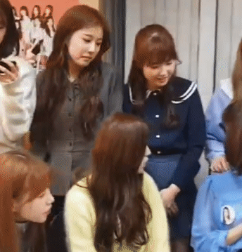 아이즈원 모태미녀 멤버.jpgif | 인스티즈
