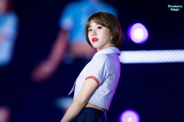트와이스 손채영 | 인스티즈