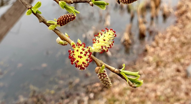 99E8A3335C9F16B81D25FA