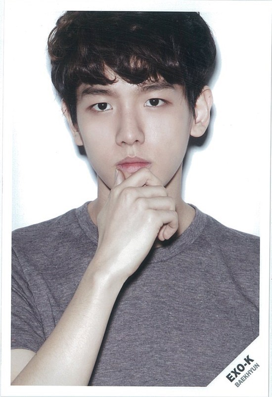 조은 꼬기 이미지