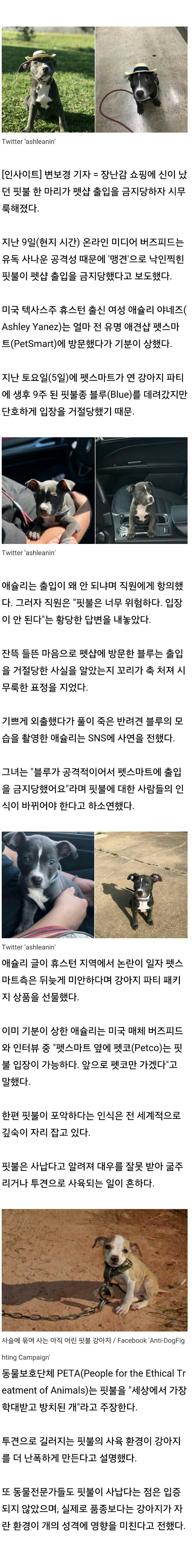 입장 금지당한 강아지 | 인스티즈
