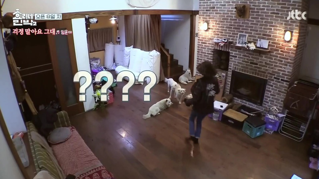 [효리네민박2] 노래의 늪에 빠져버린 윤아 | 인스티즈