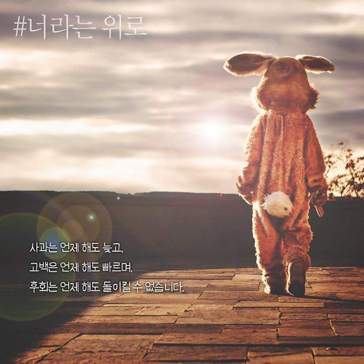빼꼼 이미지