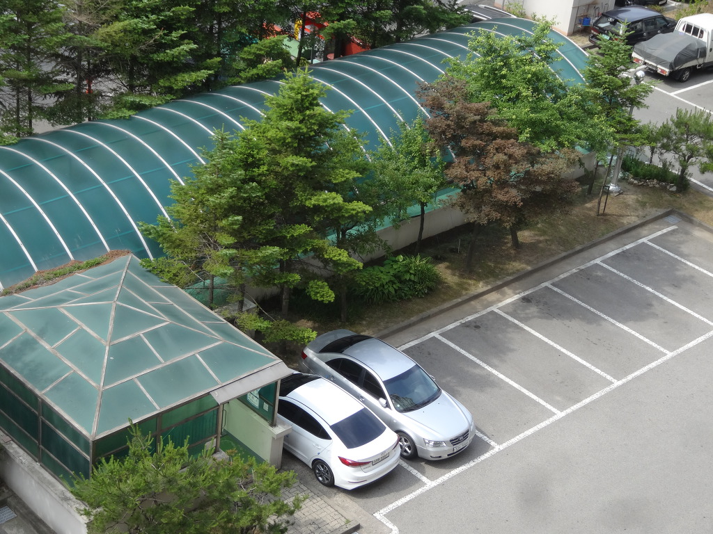 색동호박 이미지