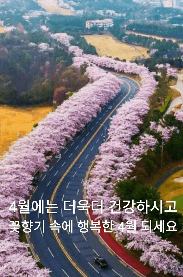 효경 이미지